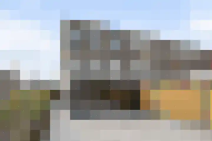 Corydastraat 85 Rotterdam thumbnail 22