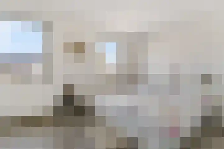 Corydastraat 85 Rotterdam thumbnail 26