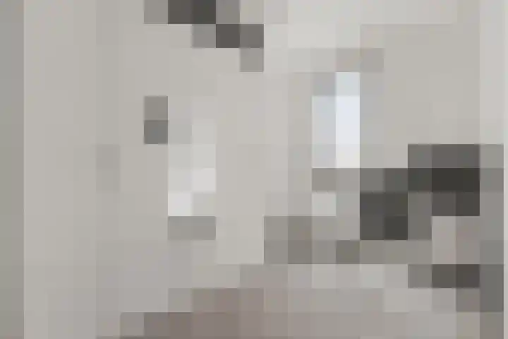 Corydastraat 85 Rotterdam thumbnail 28