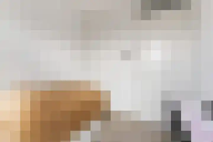 Corydastraat 85 Rotterdam thumbnail 31