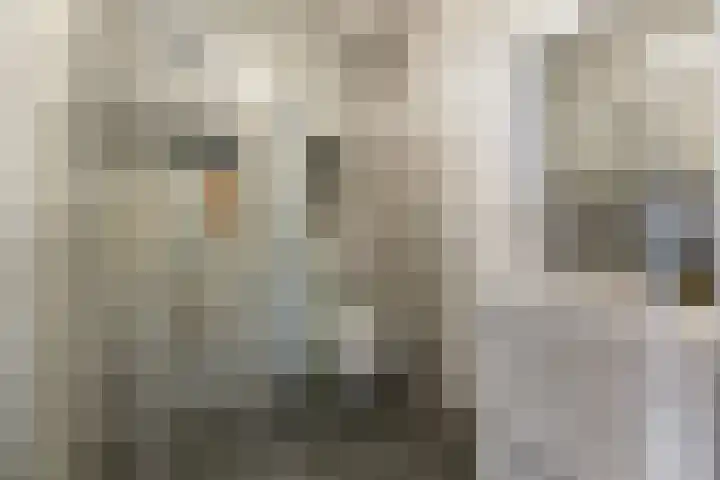 Corydastraat 85 Rotterdam thumbnail 32