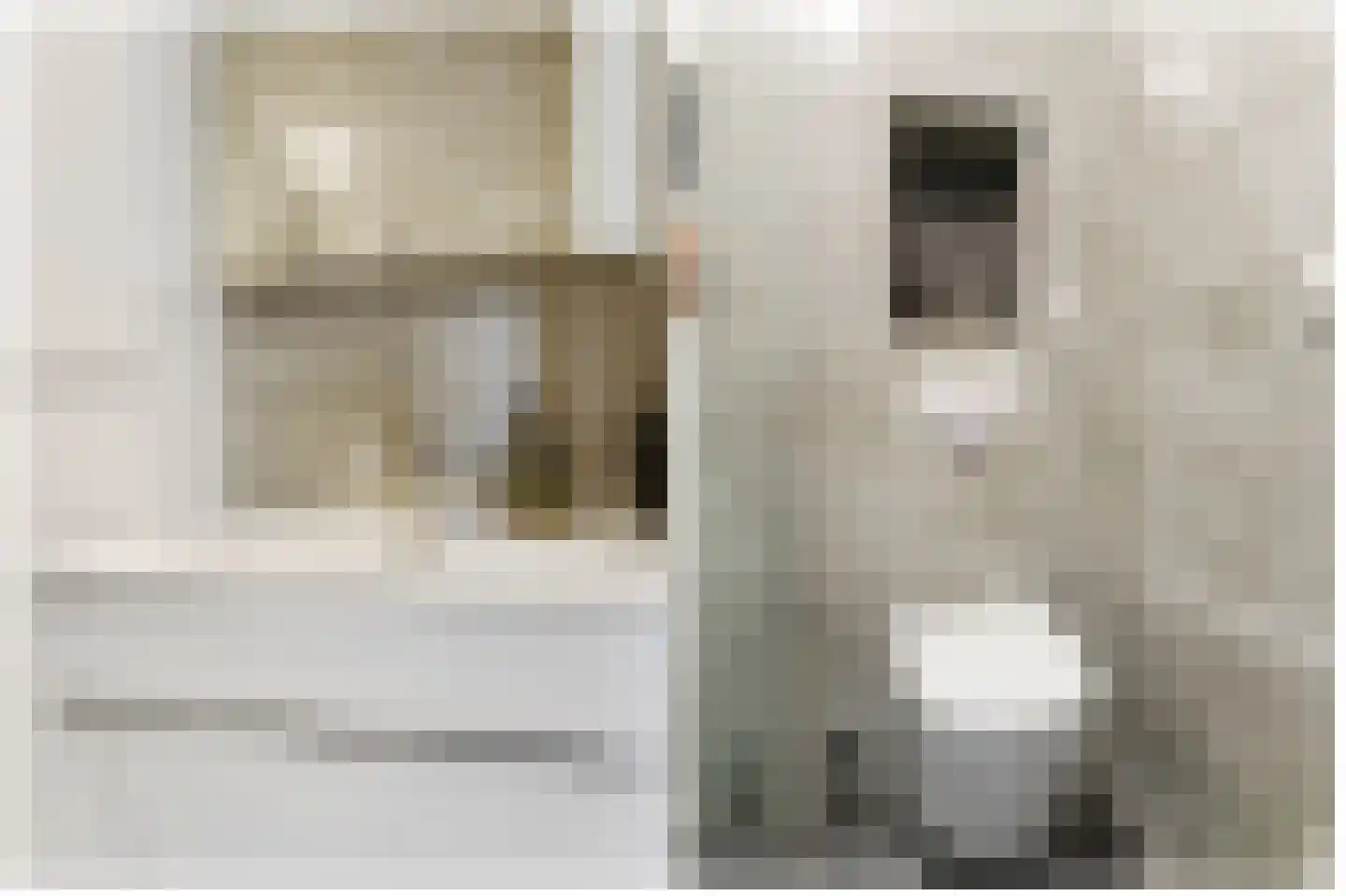 Corydastraat 85 Rotterdam thumbnail 34