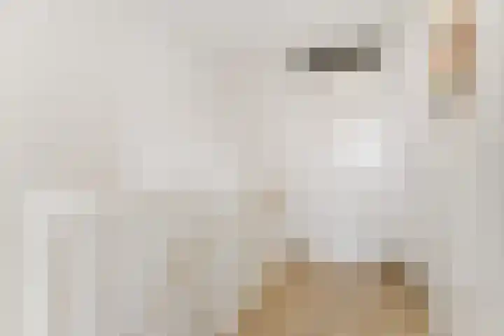 Corydastraat 85 Rotterdam thumbnail 35