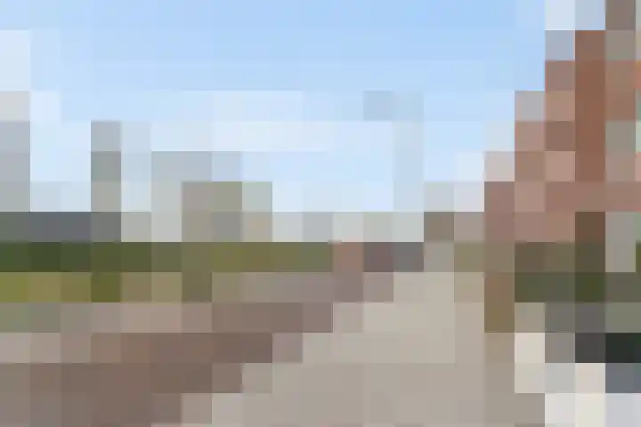 Corydastraat 85 Rotterdam thumbnail 43