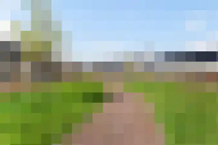 Corydastraat 85 Rotterdam thumbnail 44