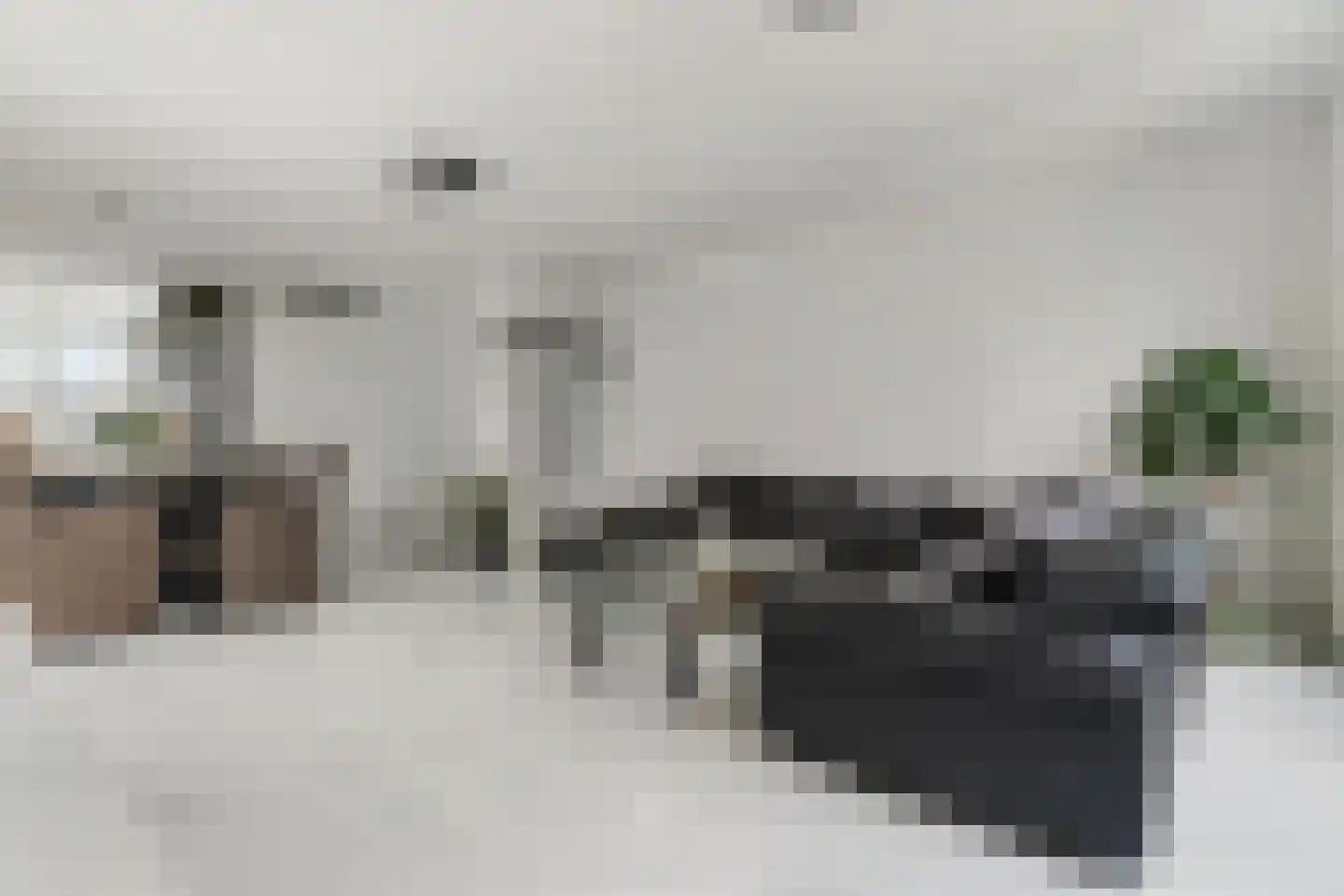 Corydastraat 85 Rotterdam thumbnail 8