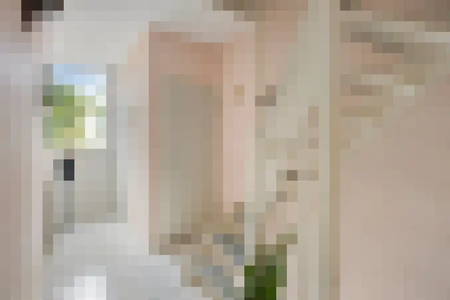 Coryluslaan 20 Heerhugowaard thumbnail 16