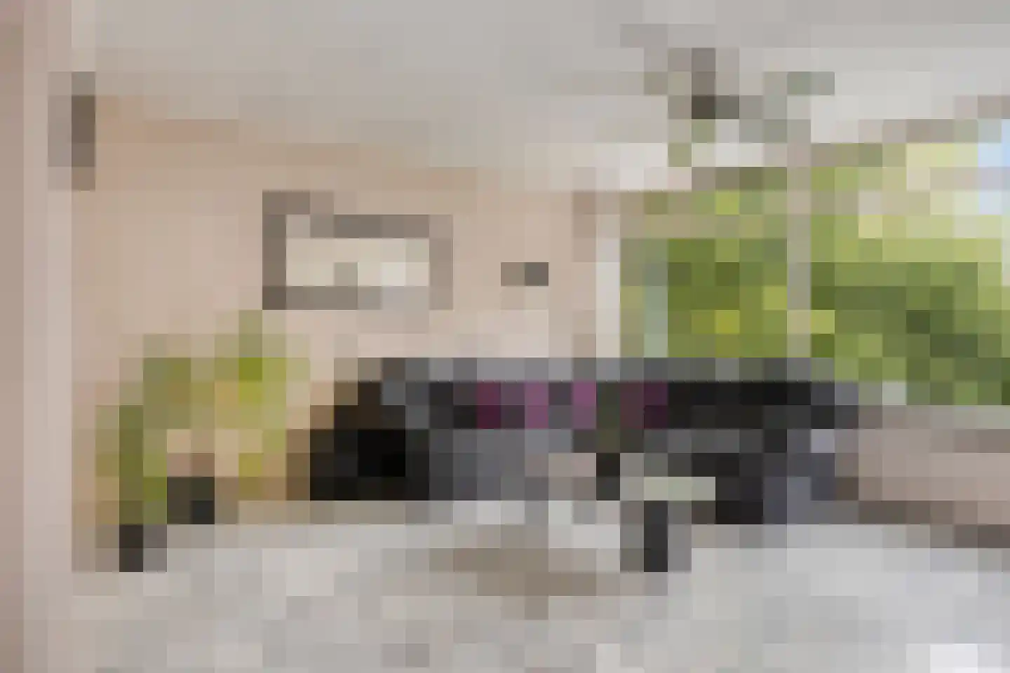 Coryluslaan 20 Heerhugowaard thumbnail 18