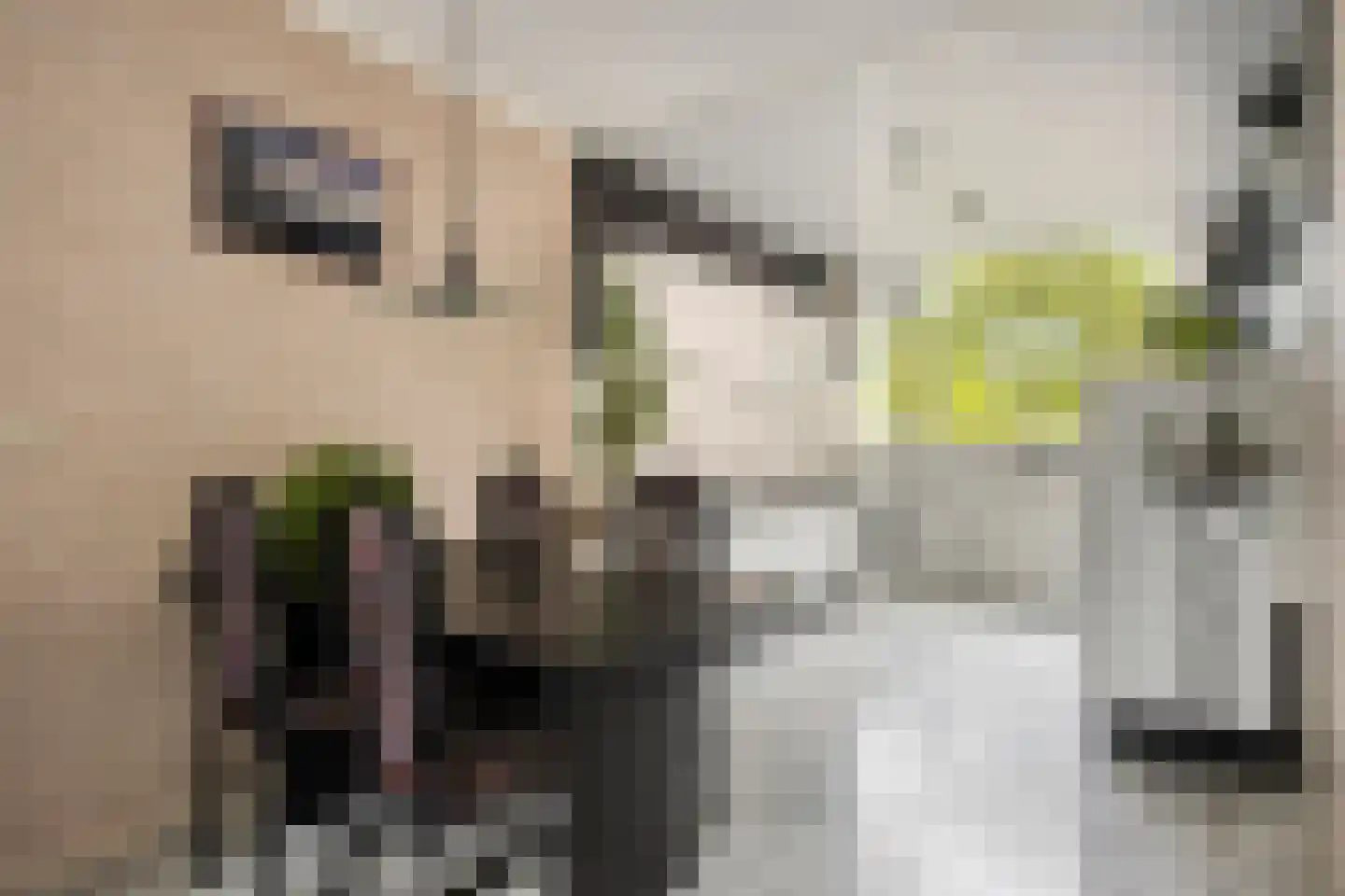 Coryluslaan 20 Heerhugowaard thumbnail 21