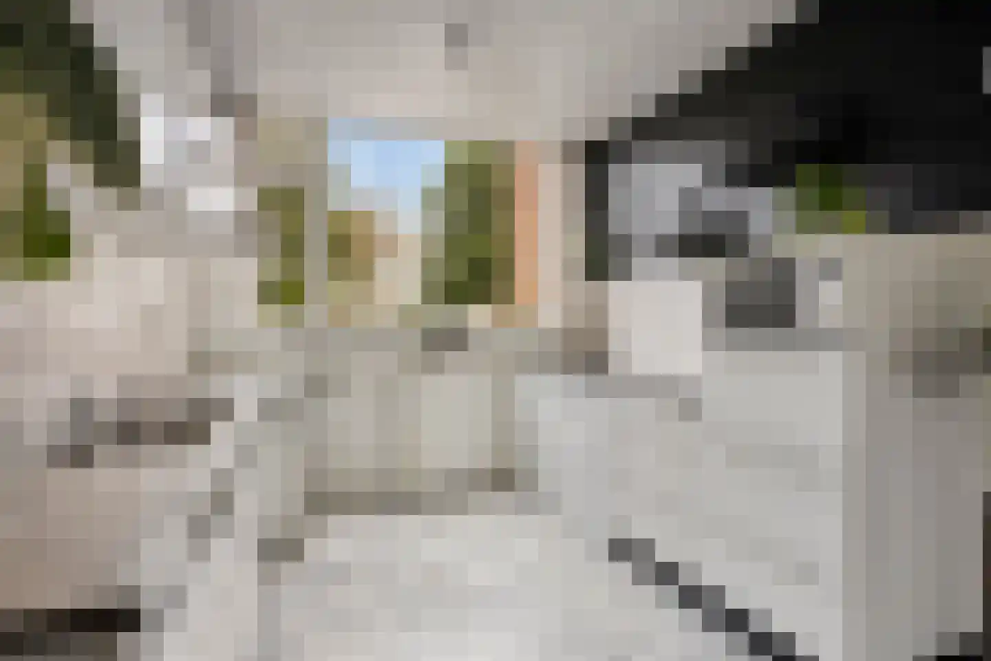 Coryluslaan 20 Heerhugowaard thumbnail 22