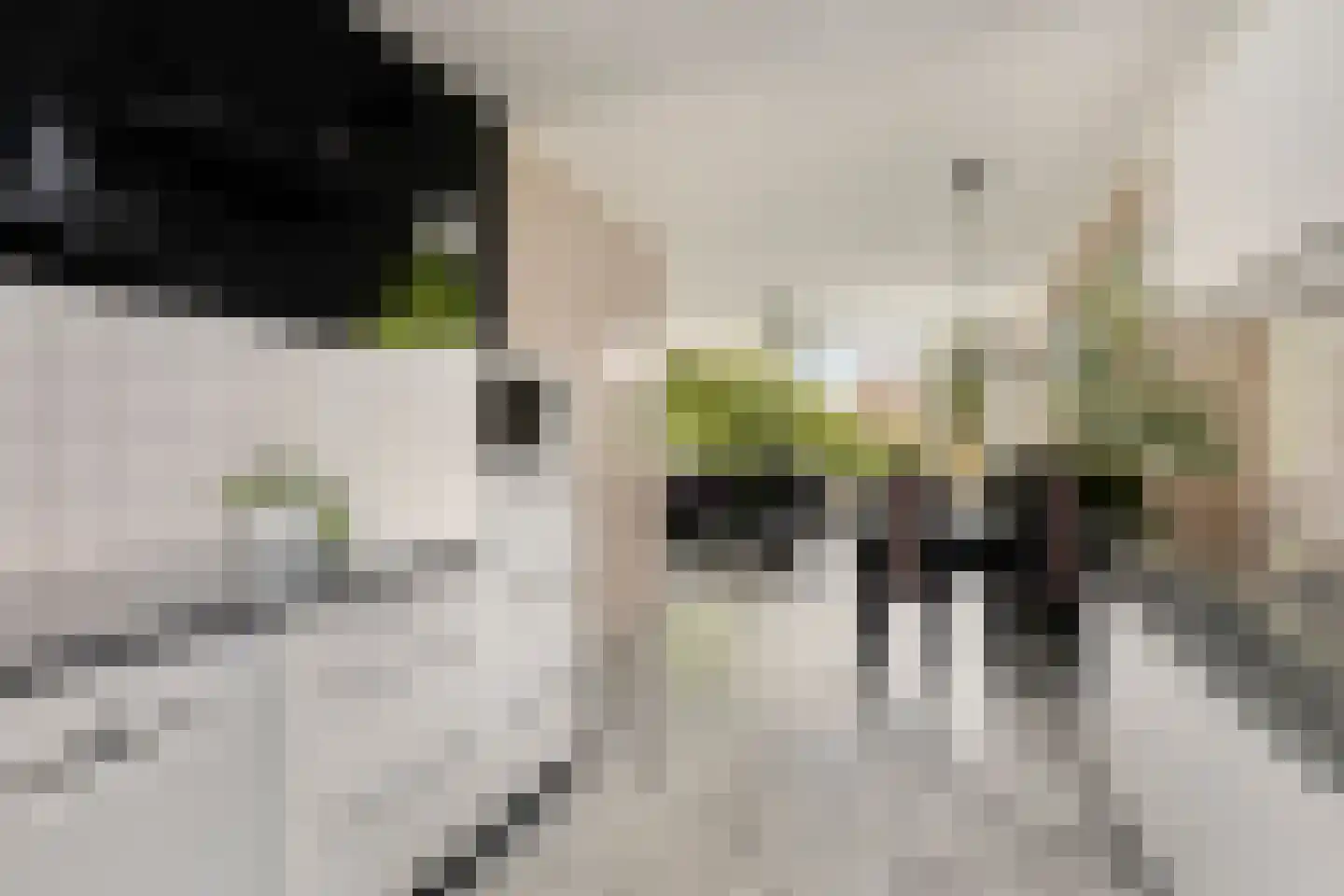 Coryluslaan 20 Heerhugowaard thumbnail 23