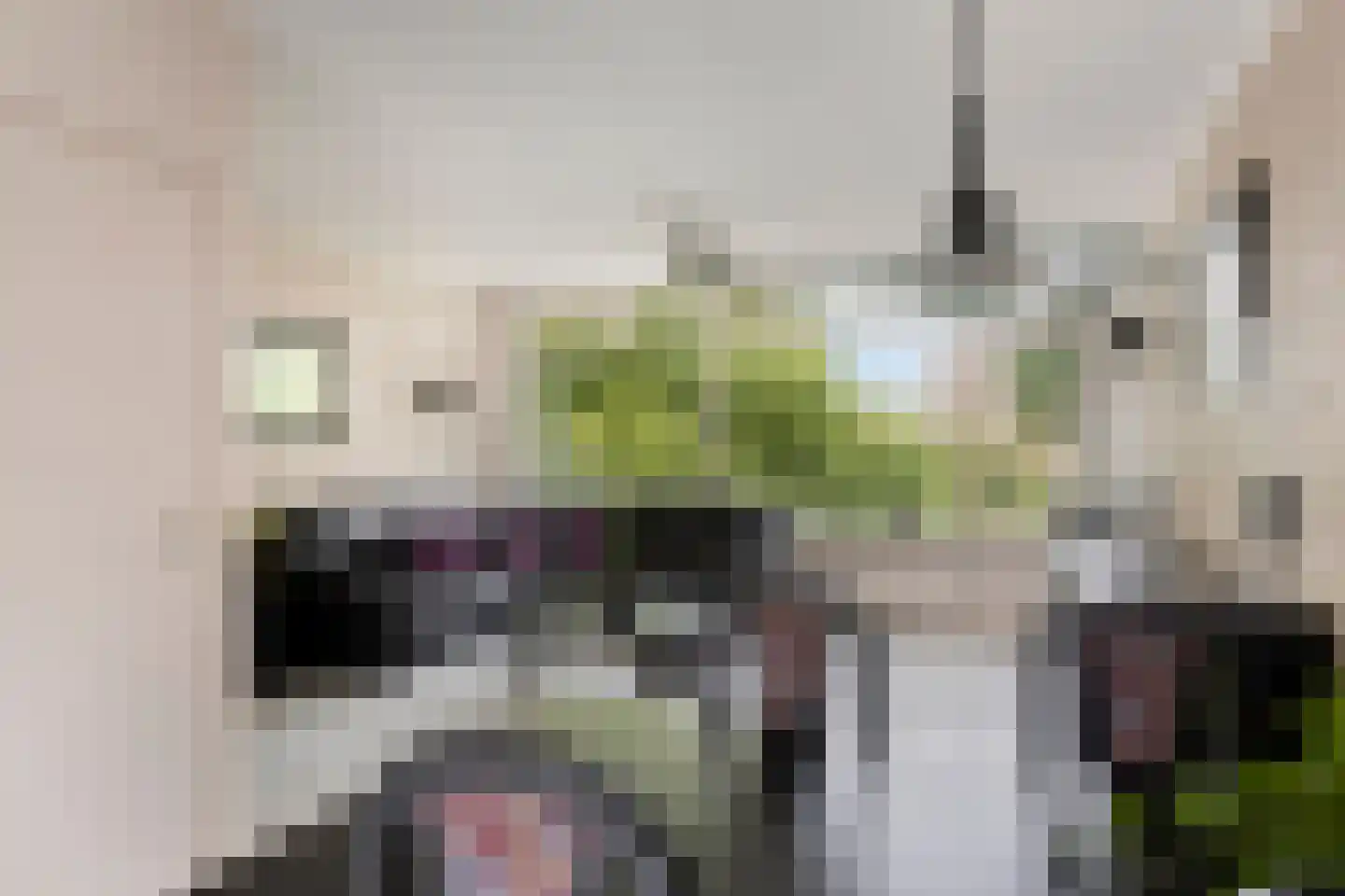 Coryluslaan 20 Heerhugowaard thumbnail 24