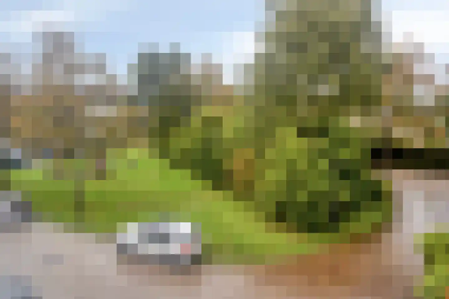 Coryluslaan 20 Heerhugowaard thumbnail 29