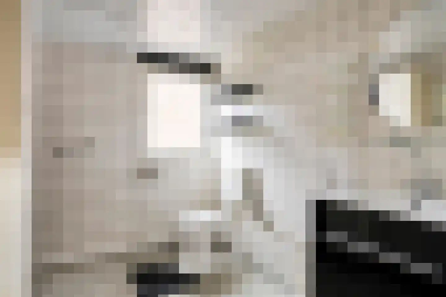 Coryluslaan 20 Heerhugowaard thumbnail 33