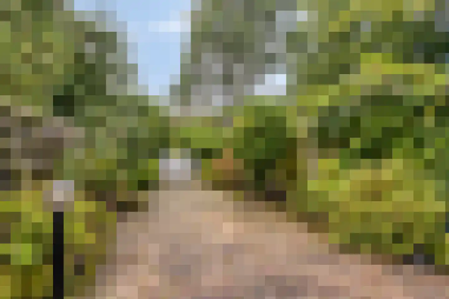 Coryluslaan 20 Heerhugowaard thumbnail 39