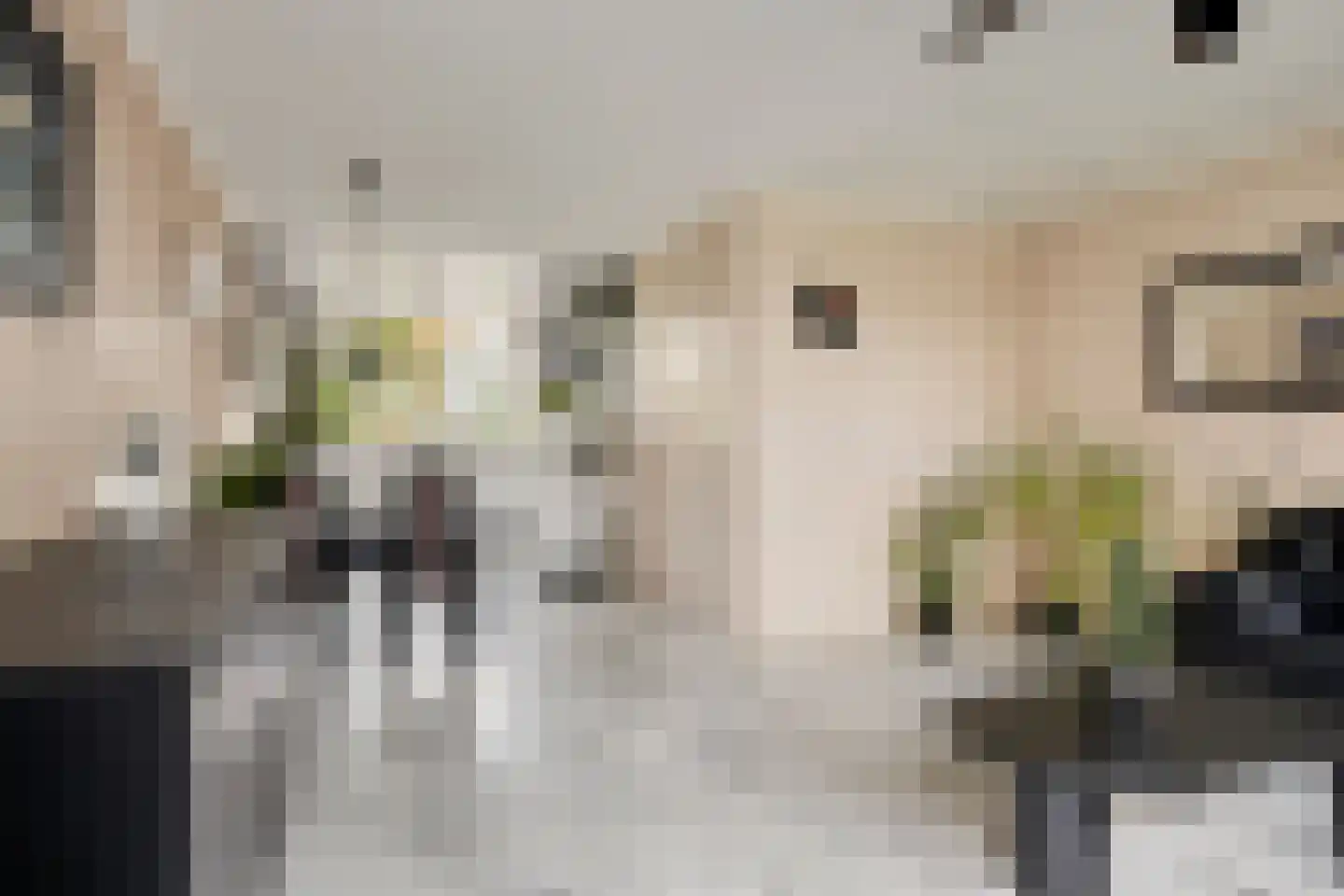 Coryluslaan 20 Heerhugowaard thumbnail 4