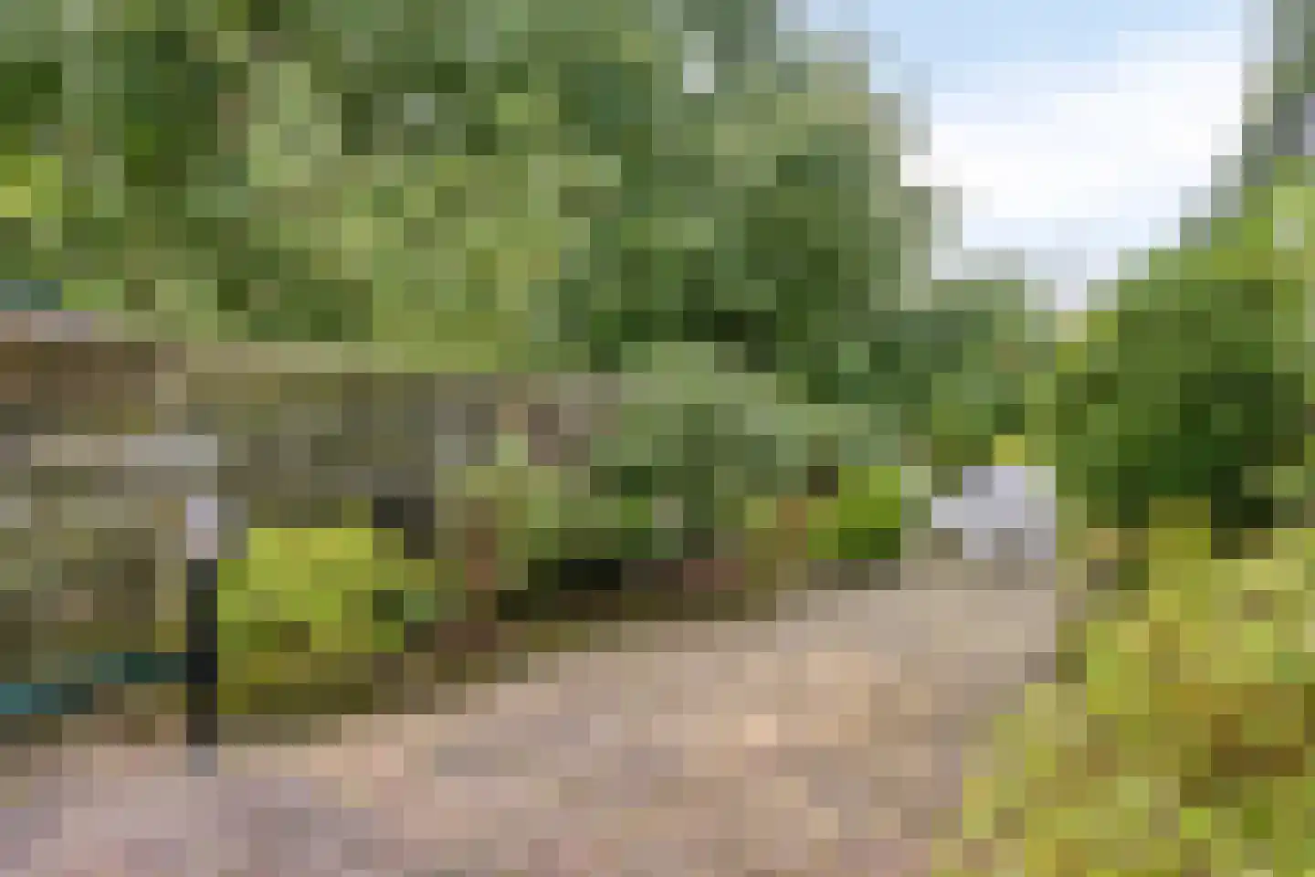 Coryluslaan 20 Heerhugowaard thumbnail 40