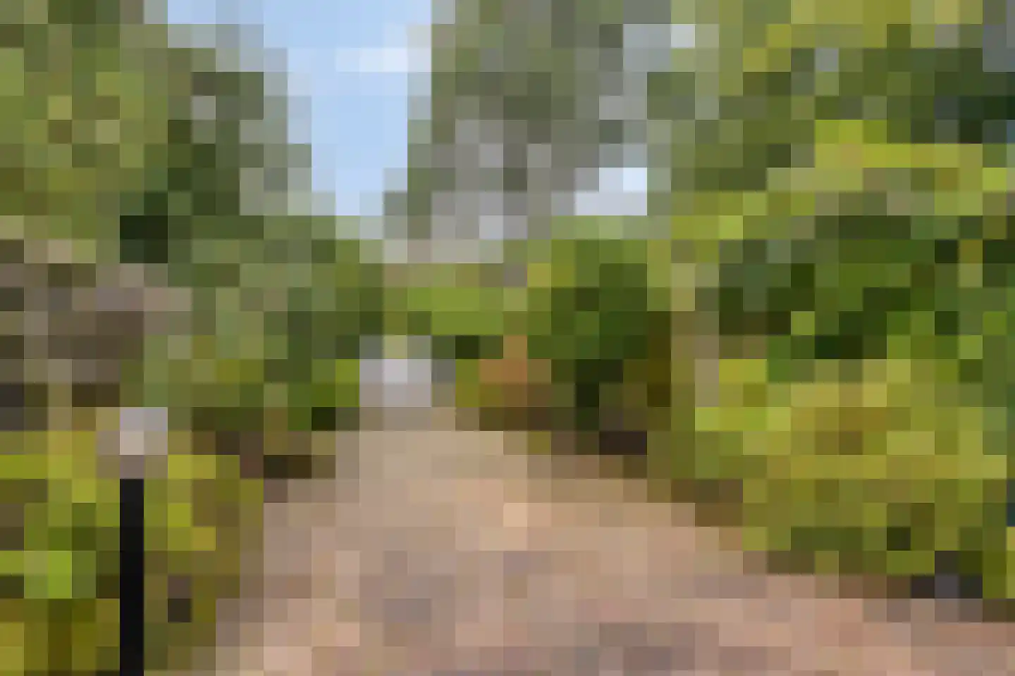 Coryluslaan 20 Heerhugowaard thumbnail 6