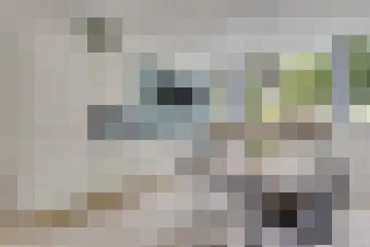 Coryluslaan 22 Heerhugowaard thumbnail 19