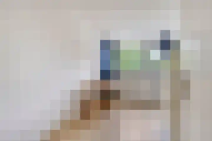 Coryluslaan 22 Heerhugowaard thumbnail 39