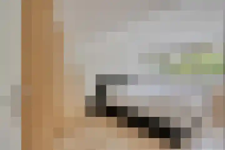 Coryluslaan 22 Heerhugowaard thumbnail 5