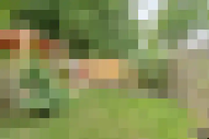 Coryluslaan 22 Heerhugowaard thumbnail 50