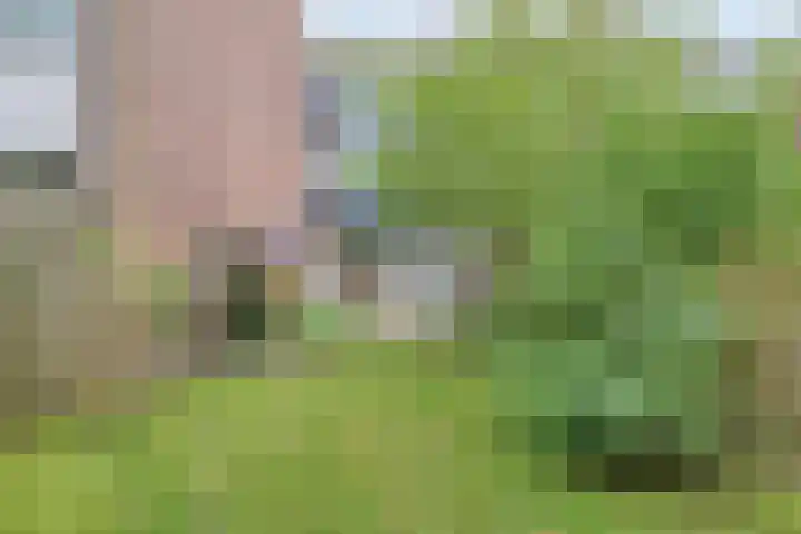 Coryluslaan 22 Heerhugowaard thumbnail 51