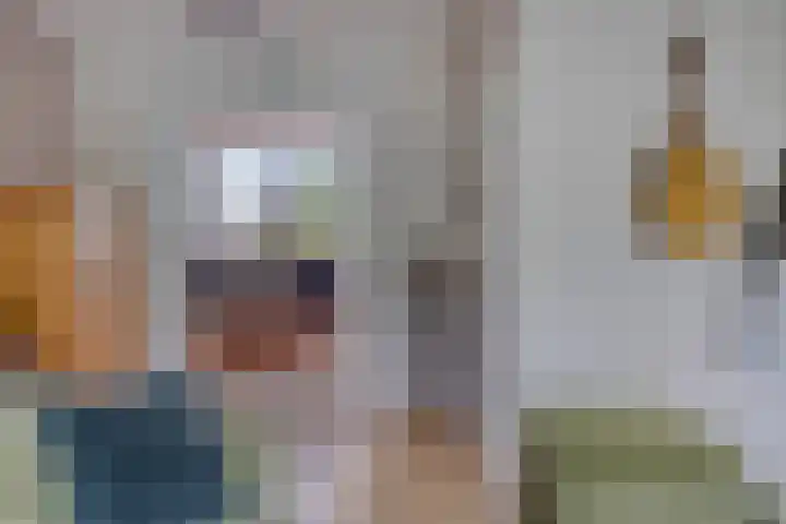 Coryluslaan 30 Heerhugowaard thumbnail 26