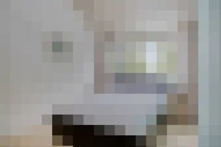 Coryluslaan 30 Heerhugowaard thumbnail 37