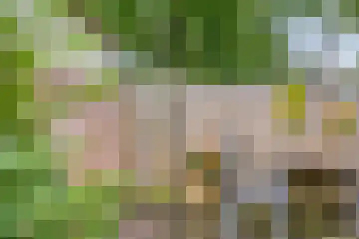 Coryluslaan 30 Heerhugowaard thumbnail 55