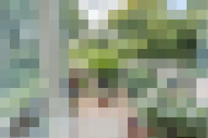 Coryluslaan 34 Heerhugowaard thumbnail 19