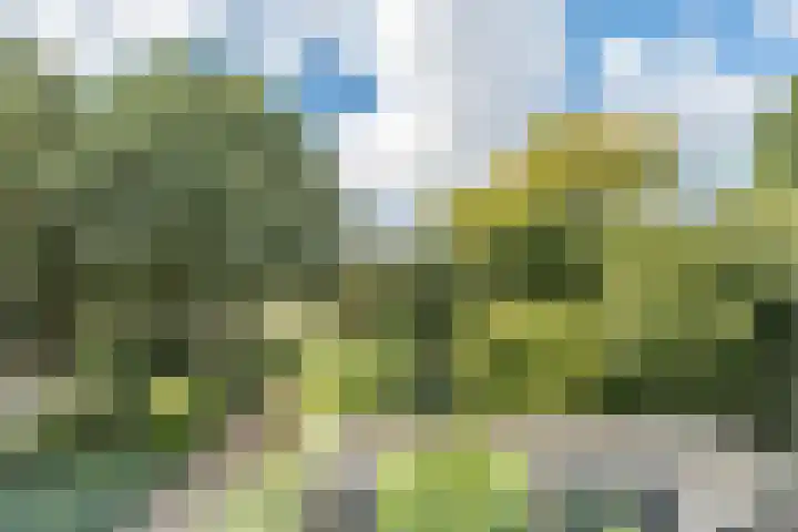 Coryluslaan 34 Heerhugowaard thumbnail 31