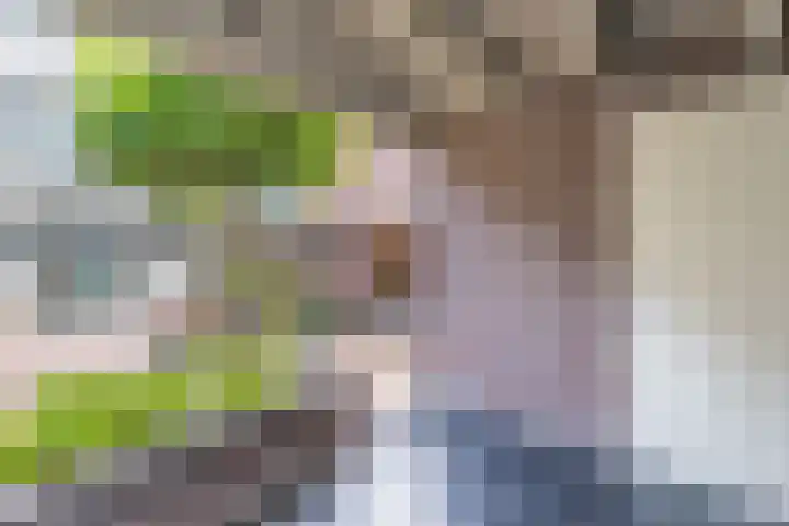 Coryluslaan 34 Heerhugowaard thumbnail 33
