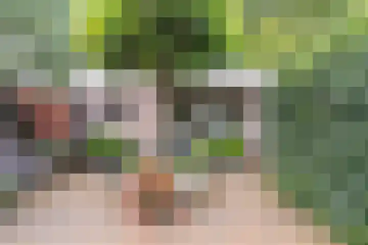 Coryluslaan 34 Heerhugowaard thumbnail 34