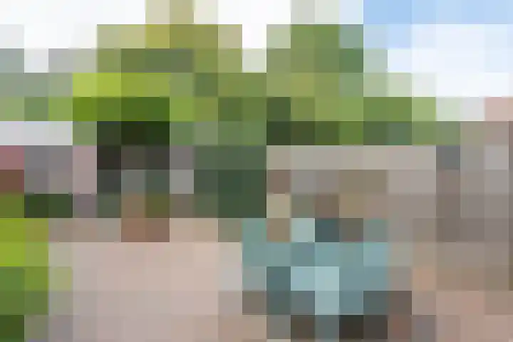 Coryluslaan 34 Heerhugowaard thumbnail 35