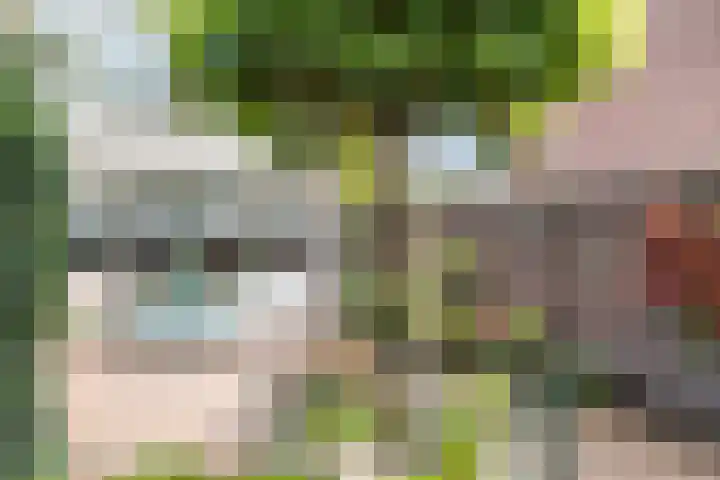 Coryluslaan 34 Heerhugowaard thumbnail 36