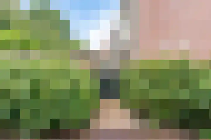 Coryluslaan 34 Heerhugowaard thumbnail 37