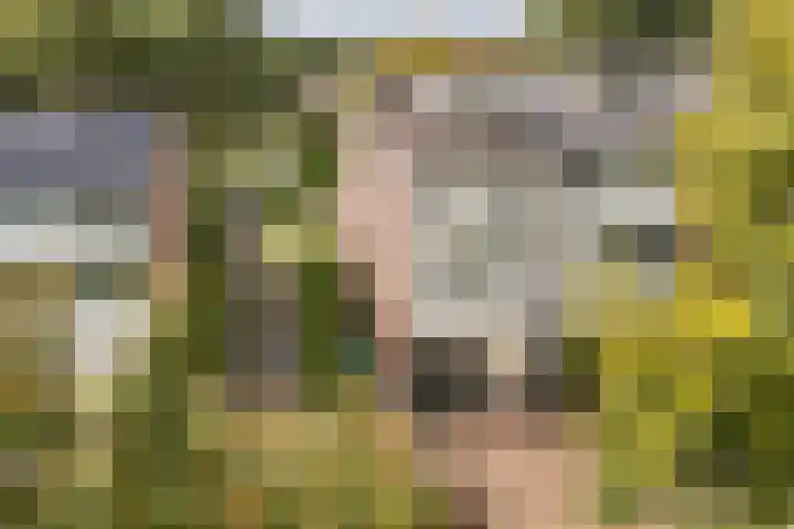Coryluslaan 34 Heerhugowaard thumbnail 39