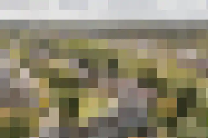 Coryluslaan 34 Heerhugowaard thumbnail 42