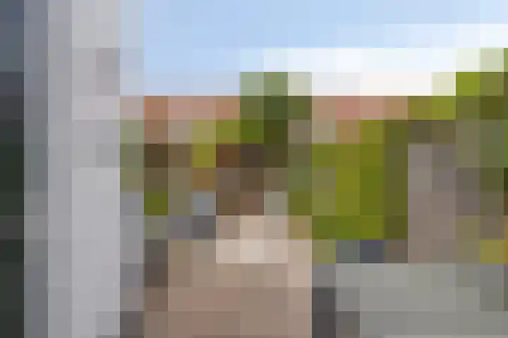 Cosijnstraat 17 Leiden thumbnail 17