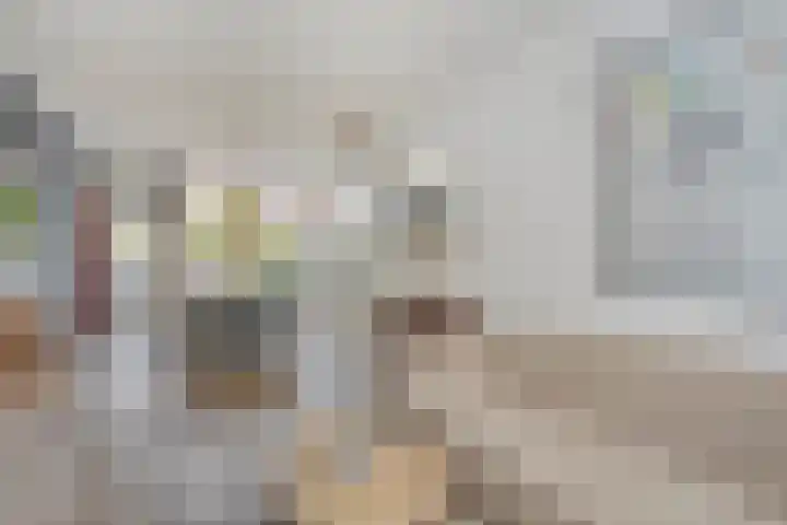 Cosijnstraat 17 Leiden thumbnail 6