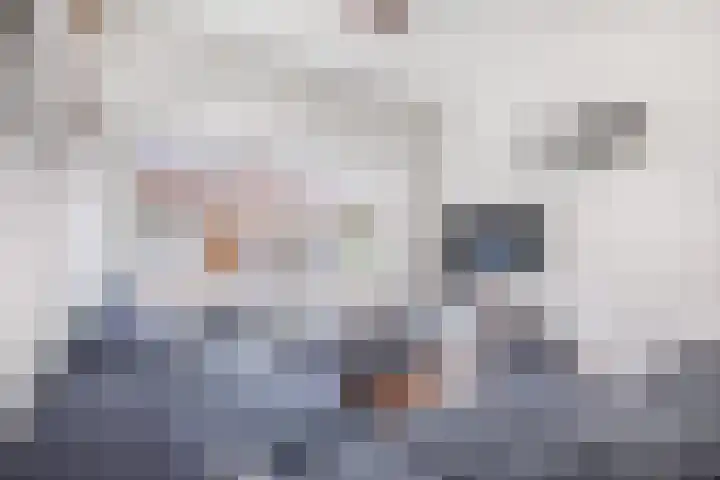 Cosijnstraat 21 Leiden thumbnail 4