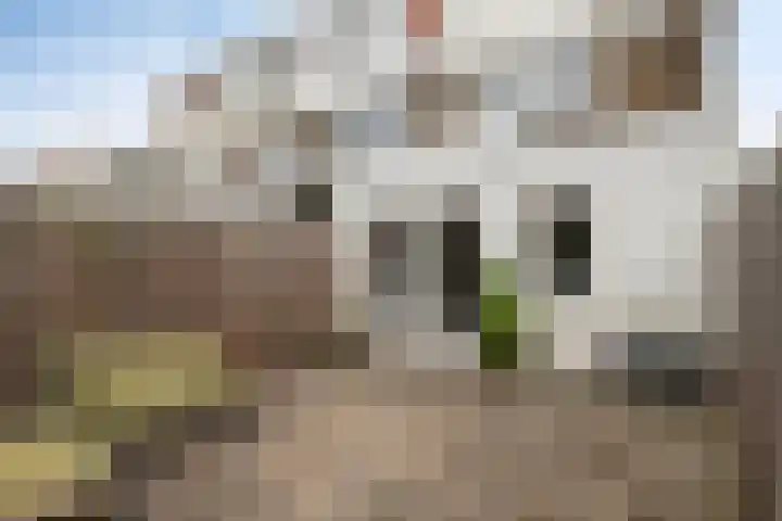 Cosijnstraat 25 Leiden thumbnail 21