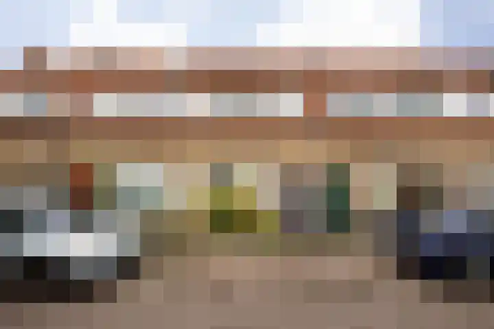 Cosijnstraat 6 in Leiden