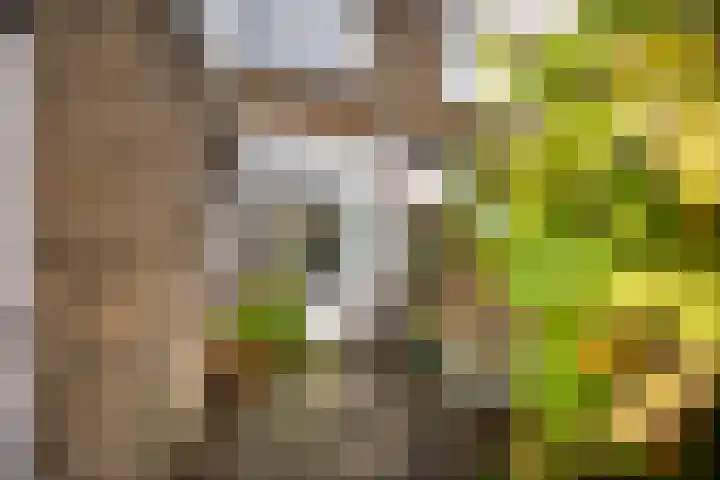 Cosijnstraat 6 Leiden thumbnail 18