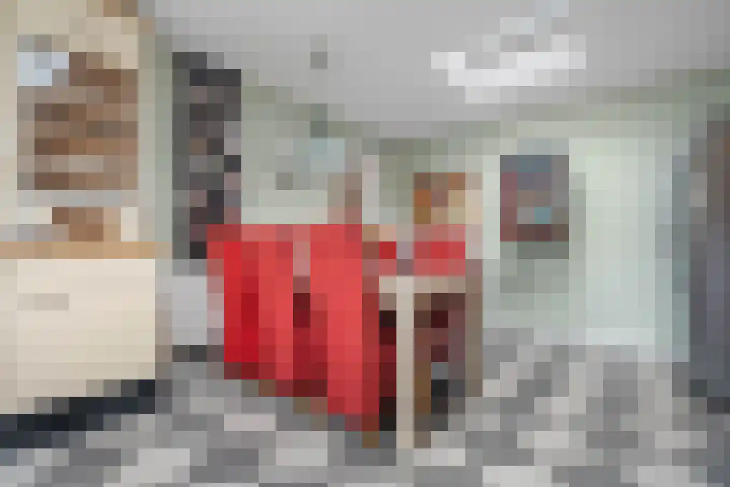 Cosmariumstraat 1 Amsterdam thumbnail 14