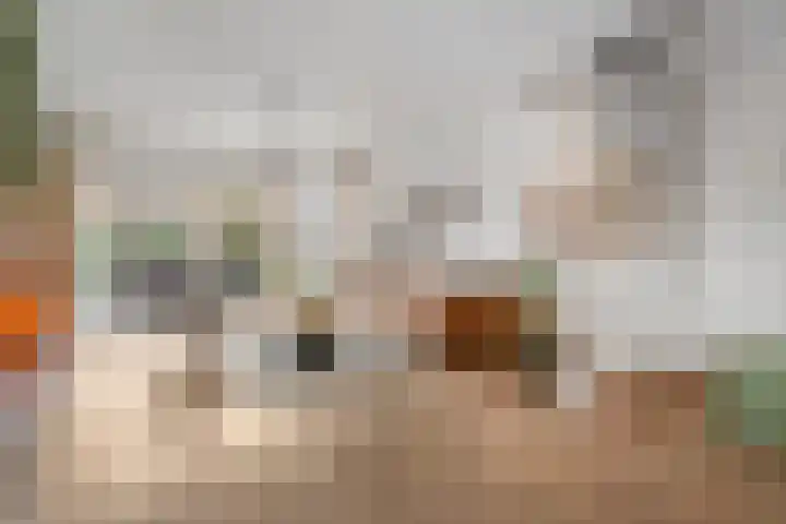 Cosmariumstraat 1 Amsterdam thumbnail 8