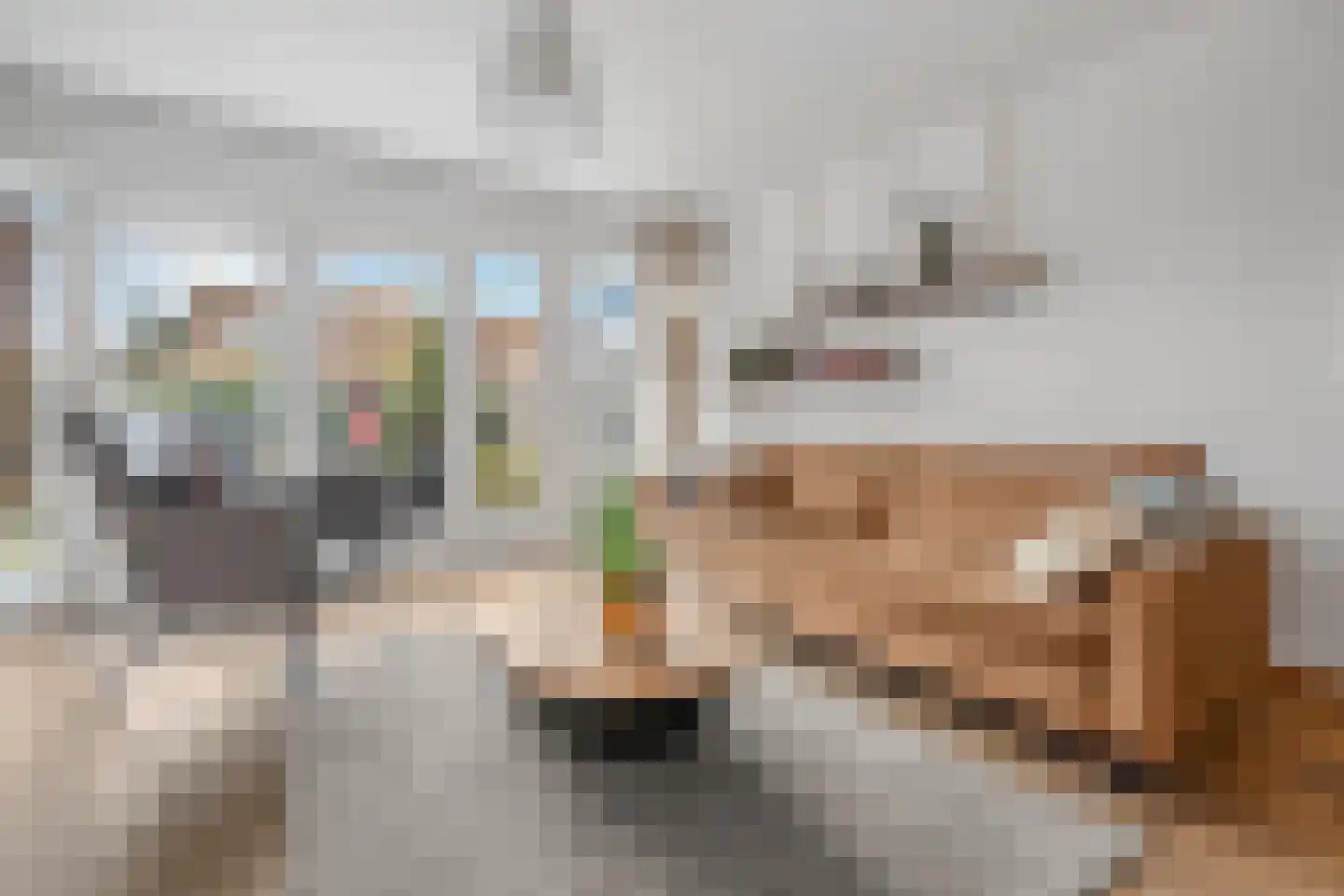 Cosmariumstraat 1 Amsterdam thumbnail 9