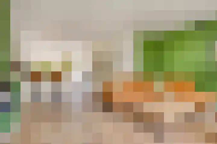 Cosmeaduin 17 Leiden thumbnail 4