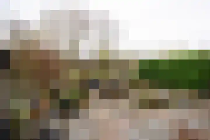 Cosmeaduin 32 Leiden thumbnail 23